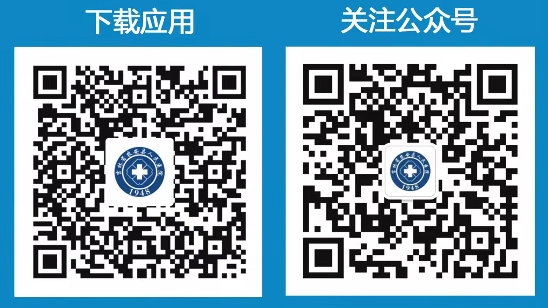 1644369323785258.jpg